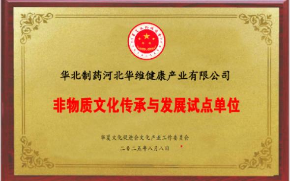 华维公司：成功申报非物质文化传承与发展试点单位